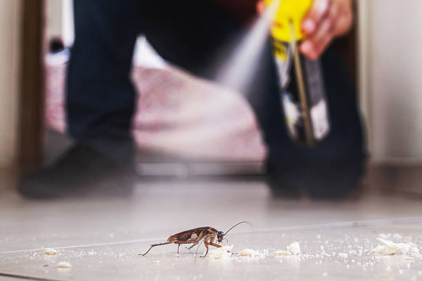 Harrisburg, OR Pest Control Company